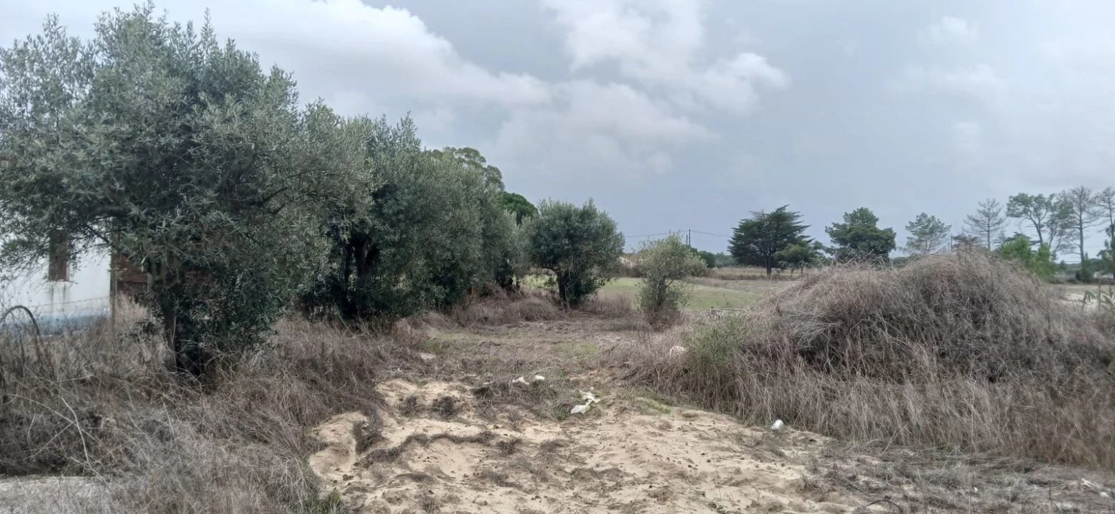 Terreno para Venda em Grândola e Santa Margarida da Serra Foto 30