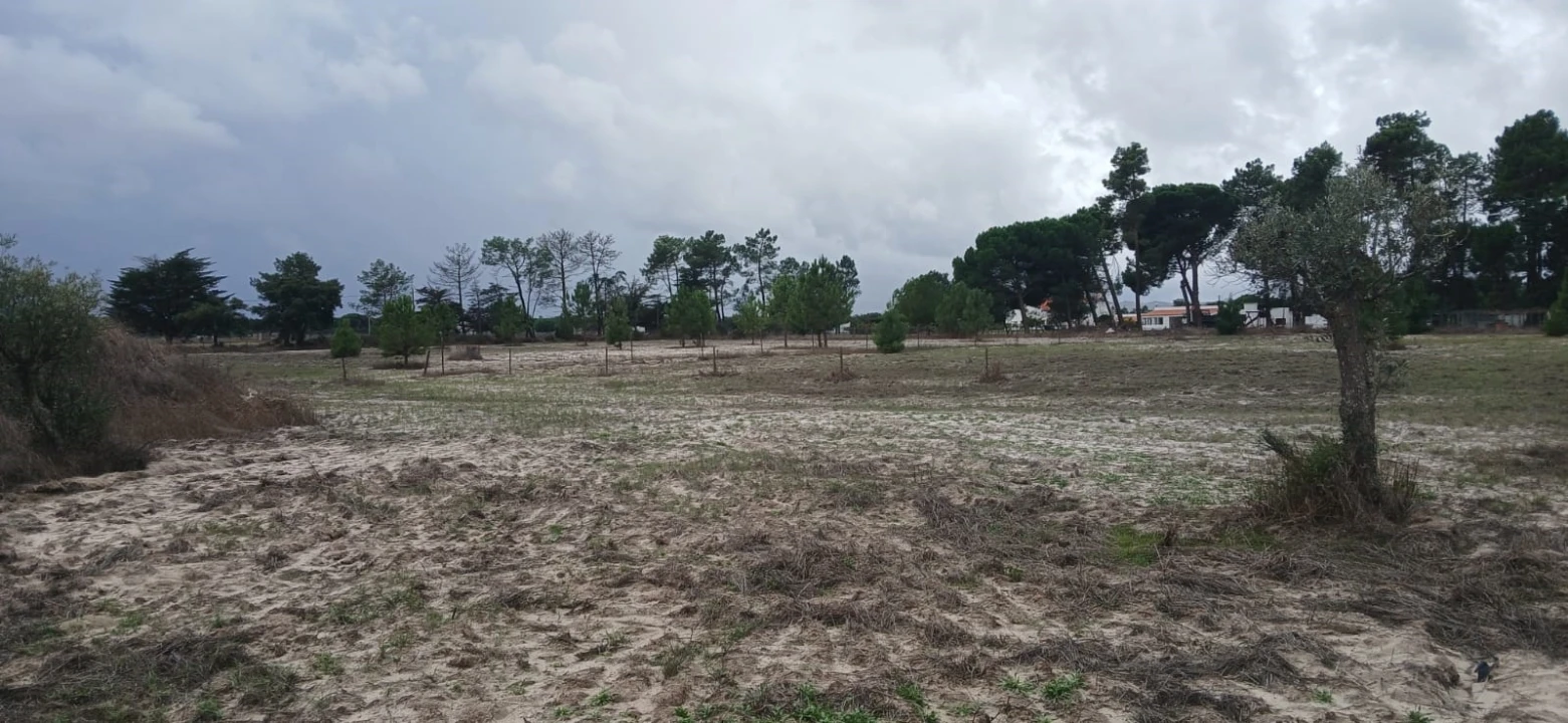 Terreno para Venda em Grândola e Santa Margarida da Serra Foto 15
