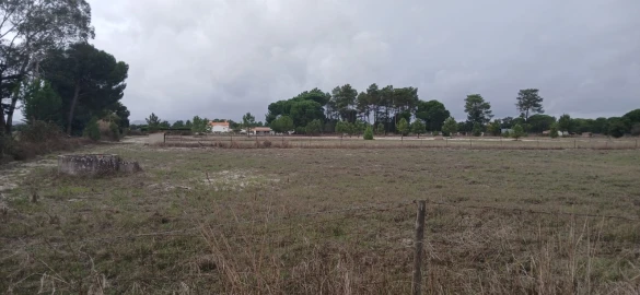 Terreno para Venda em Grândola e Santa Margarida da Serra