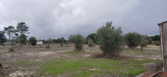 Terreno para Venda em Grândola e Santa Margarida da Serra