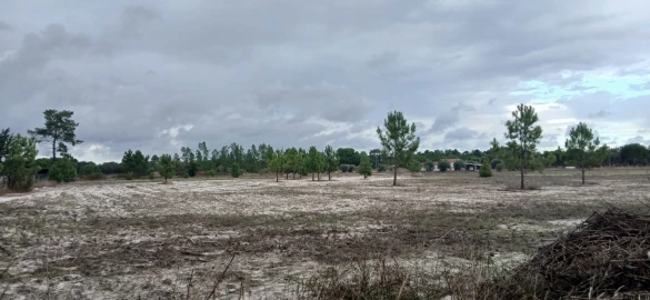 Terreno para Venda em Grândola e Santa Margarida da Serra