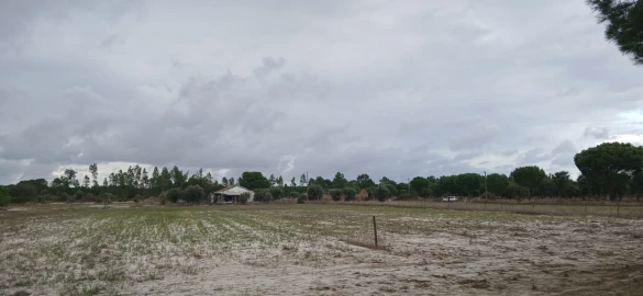 Terreno para Venda em Grândola e Santa Margarida da Serra