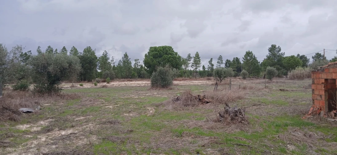 Terreno para Venda em Grândola e Santa Margarida da Serra Foto 37