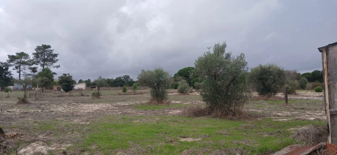 Terreno para Venda em Grândola e Santa Margarida da Serra Foto 18