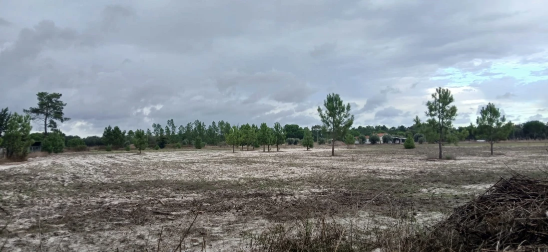 Terreno para Venda em Grândola e Santa Margarida da Serra Foto 21