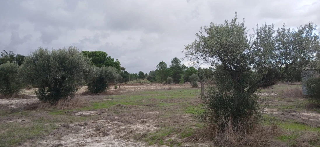 Terreno para Venda em Grândola e Santa Margarida da Serra Foto 20
