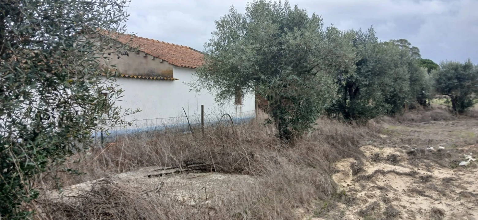 Terreno para Venda em Grândola e Santa Margarida da Serra Foto 28