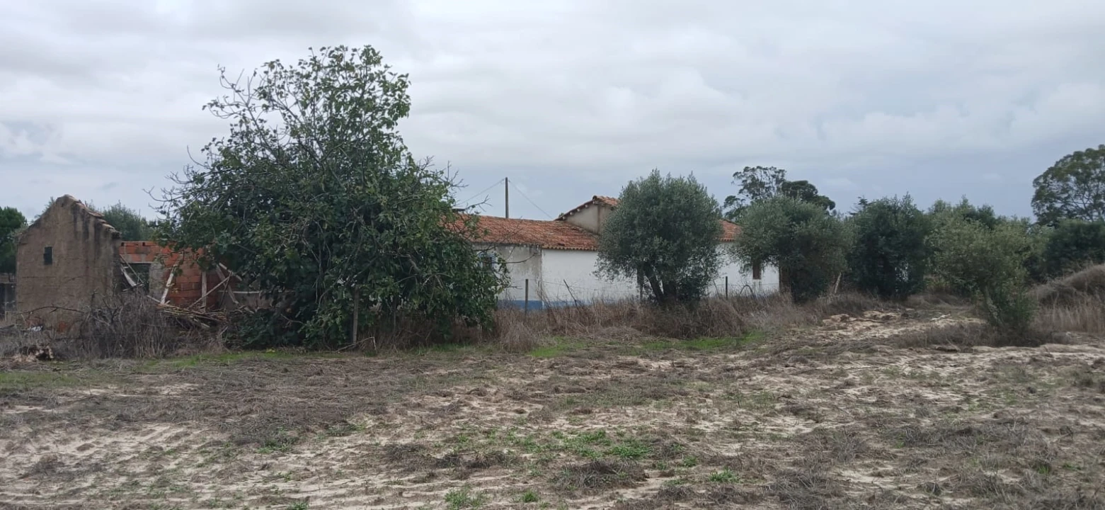 Terreno para Venda em Grândola e Santa Margarida da Serra Foto 13