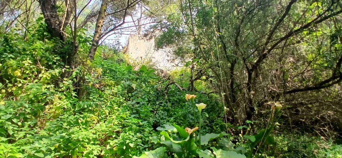 Moradia T4 para Venda em Cascais e Estoril Foto 52
