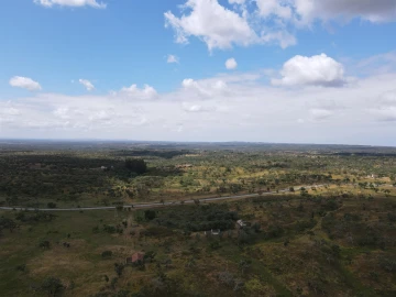 Terreno Agricola ou Rústico para Venda em Grândola e Santa Margarida da Serra