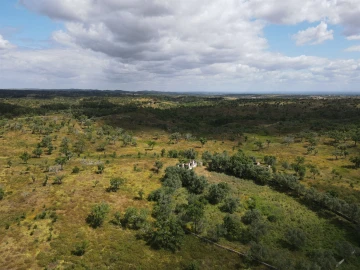 Terreno Agricola ou Rústico para Venda em Grândola e Santa Margarida da Serra