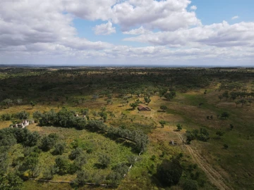 Terreno Agricola ou Rústico para Venda em Grândola e Santa Margarida da Serra