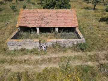 Terreno Agricola ou Rústico para Venda em Grândola e Santa Margarida da Serra
