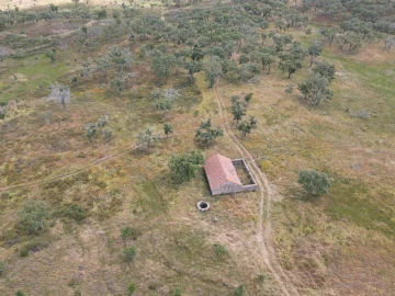 Terreno Agricola ou Rústico para Venda em Grândola e Santa Margarida da Serra