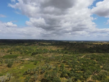 Terreno Agricola ou Rústico para Venda em Grândola e Santa Margarida da Serra