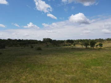 Terreno Agricola ou Rústico para Venda em Grândola e Santa Margarida da Serra
