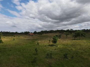 Terreno Agricola ou Rústico para Venda em Grândola e Santa Margarida da Serra