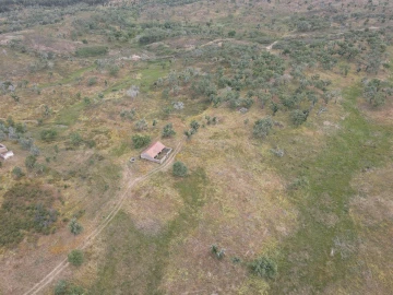 Terreno Agricola ou Rústico para Venda em Grândola e Santa Margarida da Serra