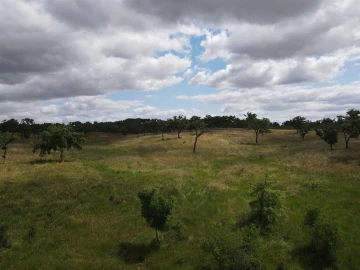 Terreno Agricola ou Rústico para Venda em Grândola e Santa Margarida da Serra