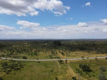 Terreno Agricola ou Rústico para Venda em Grândola e Santa Margarida da Serra