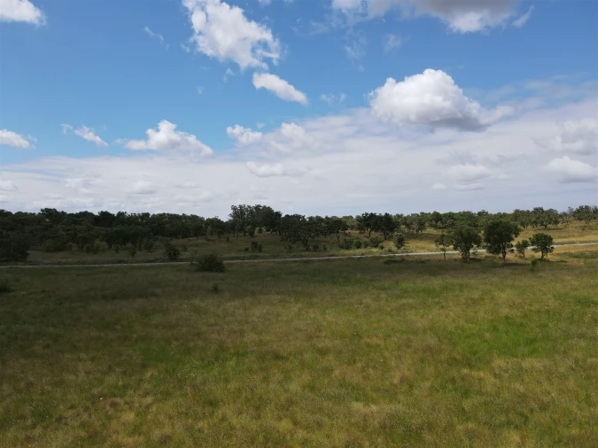 Terreno Agricola ou Rústico para Venda em Grândola e Santa Margarida da Serra Foto 19
