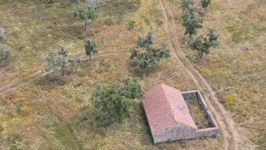 Terreno Agricola ou Rústico para Venda em Grândola e Santa Margarida da Serra