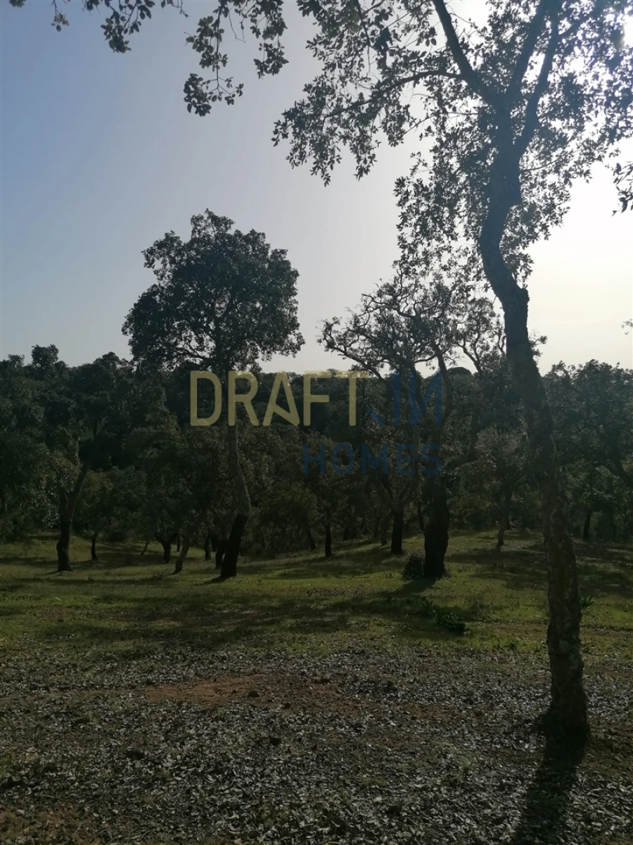 Terreno Agricola ou Rústico para Venda em Melides Foto 18