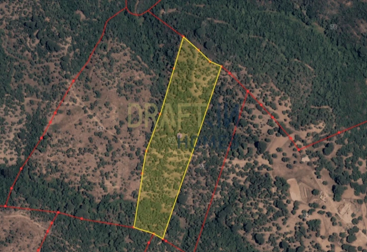 Terreno Agricola ou Rústico para Venda em Melides Planta 1