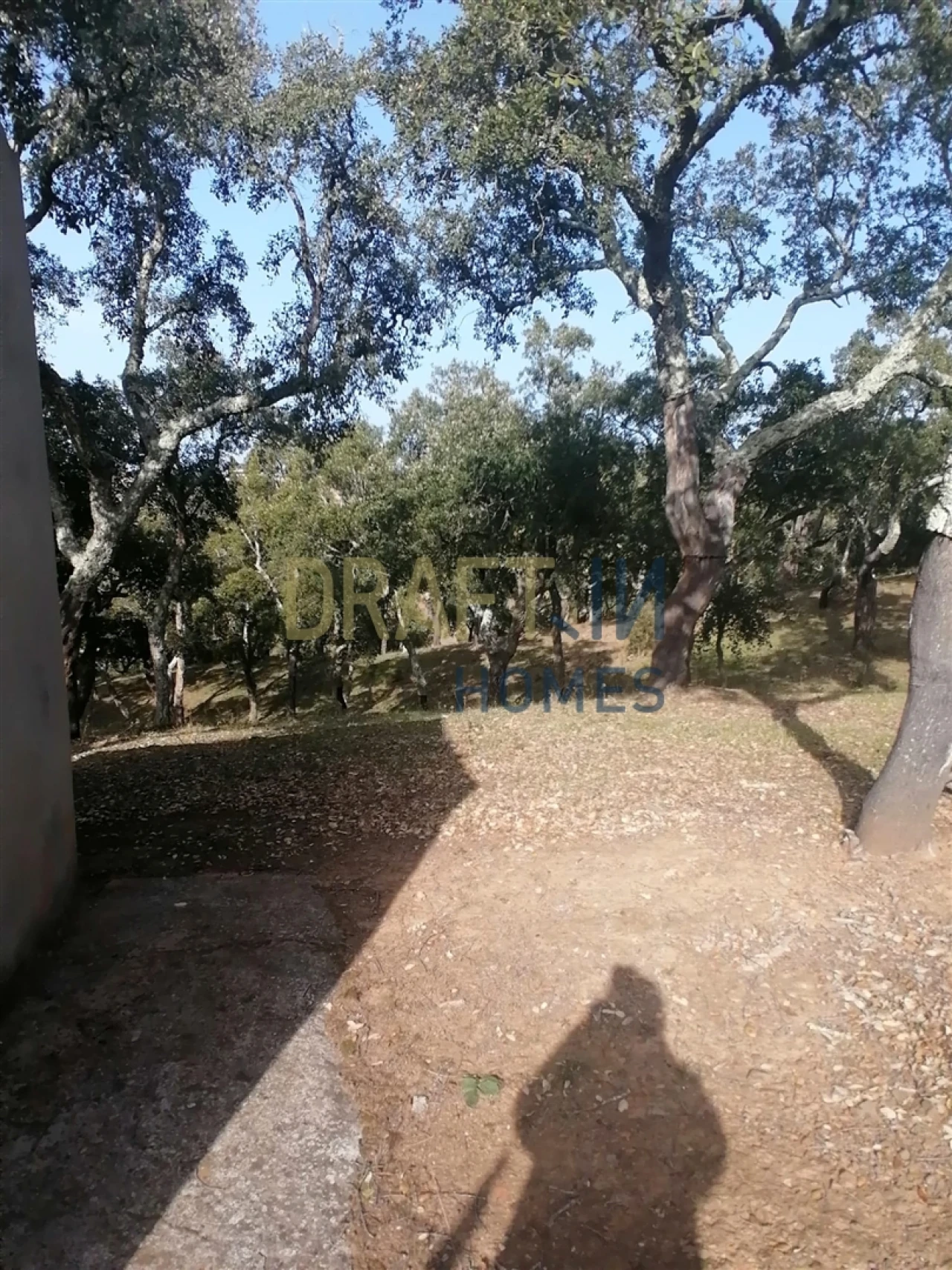 Terreno Agricola ou Rústico para Venda em Melides Foto 4