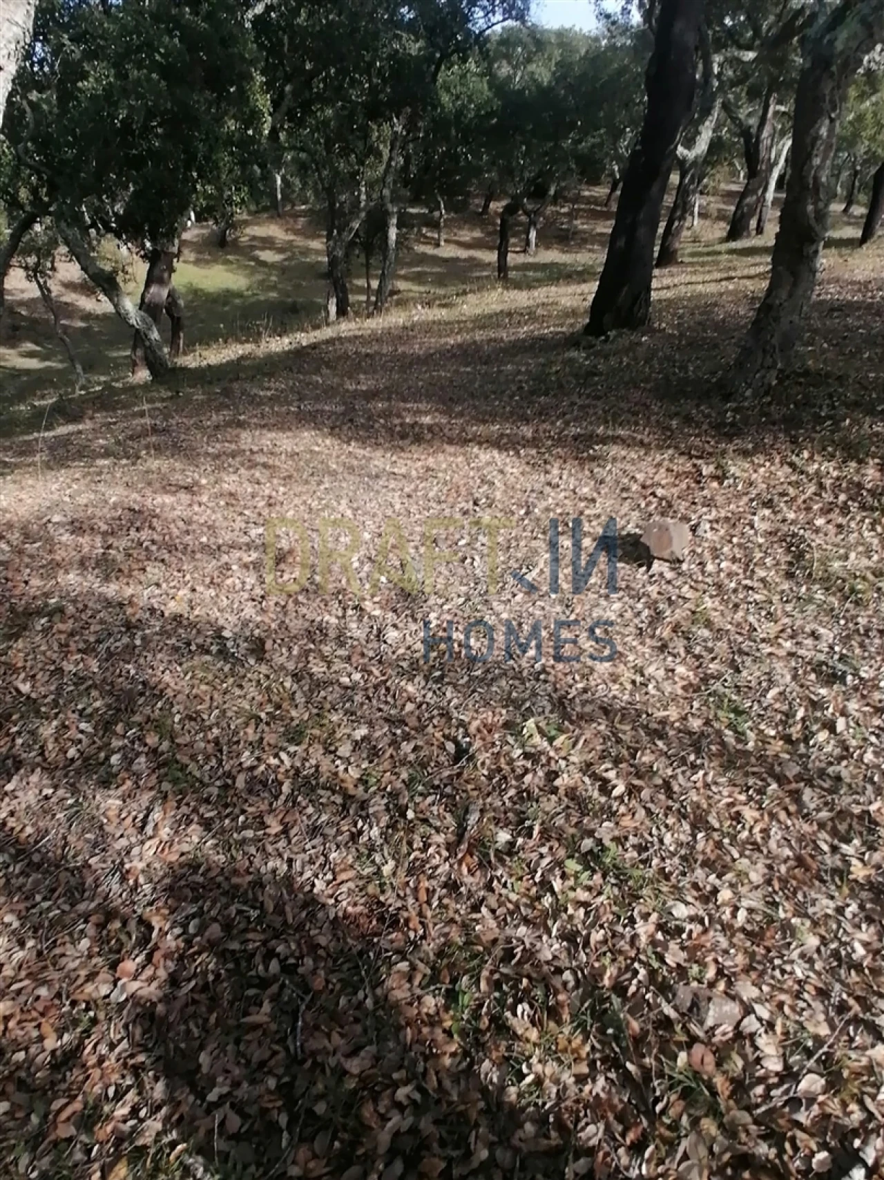 Terreno Agricola ou Rústico para Venda em Melides Foto 30