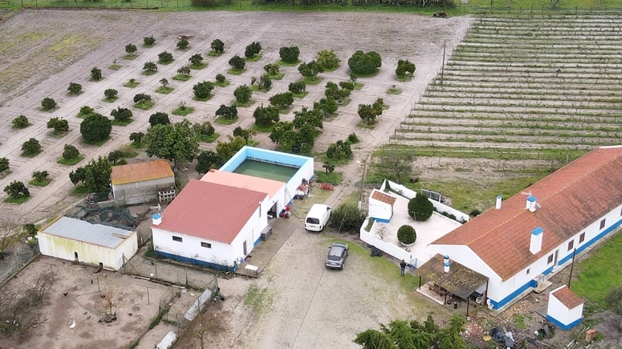 Quinta T6 para Venda em Grândola e Santa Margarida da Serra