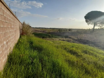 Terreno Agricola ou Rústico para Venda em Glória do Ribatejo e Granho
