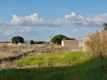 Terreno Agricola ou Rústico para Venda em Glória do Ribatejo e Granho