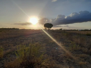 Terreno Agricola ou Rústico para Venda em Glória do Ribatejo e Granho