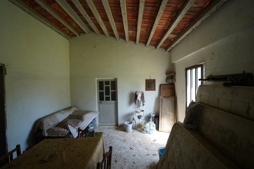 Terreno Agricola ou Rústico para Venda em Grândola e Santa Margarida da Serra Foto 11