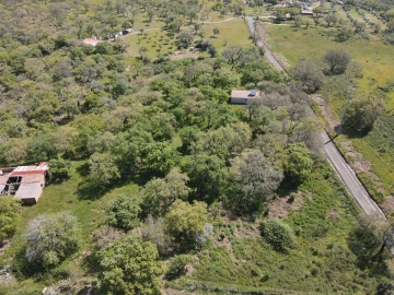 Terreno Agricola ou Rústico para Venda em Grândola e Santa Margarida da Serra