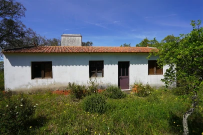 Terreno Agricola ou Rústico para Venda em Grândola e Santa Margarida da Serra