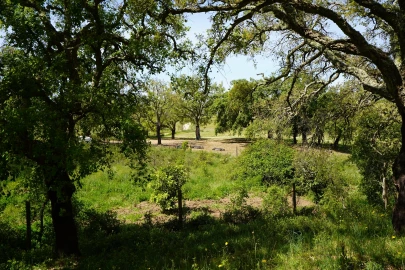 Terreno Agricola ou Rústico para Venda em Grândola e Santa Margarida da Serra