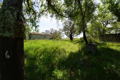 Terreno Agricola ou Rústico para Venda em Grândola e Santa Margarida da Serra