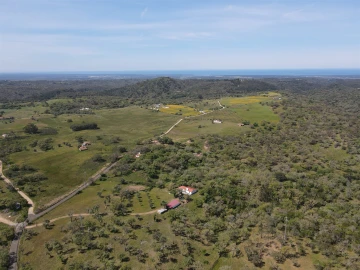Terreno Agricola ou Rústico para Venda em Grândola e Santa Margarida da Serra