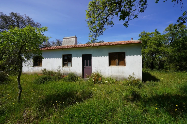 Terreno Agricola ou Rústico para Venda em Grândola e Santa Margarida da Serra Foto 7