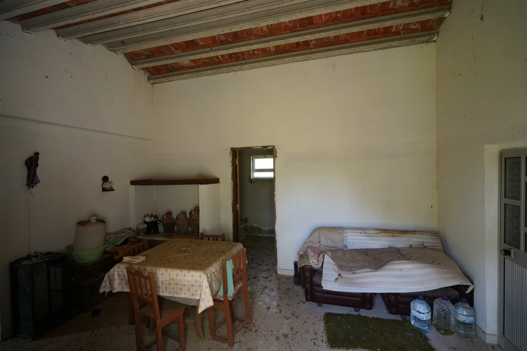 Terreno Agricola ou Rústico para Venda em Grândola e Santa Margarida da Serra Foto 9