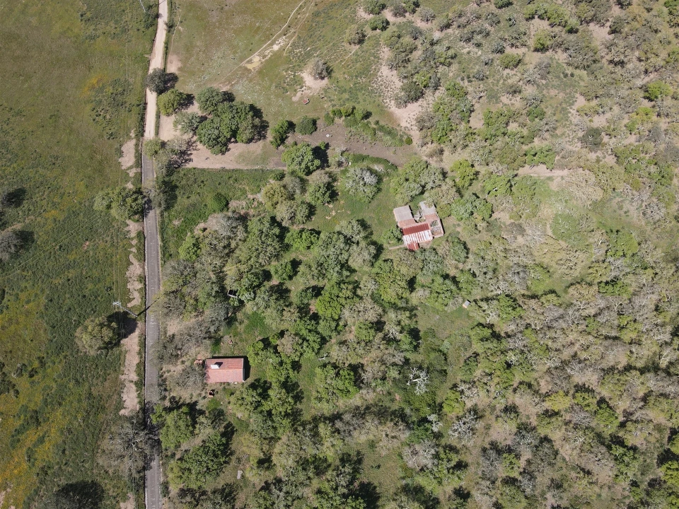 Terreno Agricola ou Rústico para Venda em Grândola e Santa Margarida da Serra Foto 23