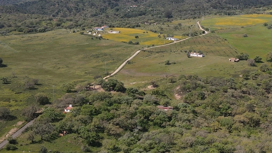 Terreno Agricola ou Rústico para Venda em Grândola e Santa Margarida da Serra
