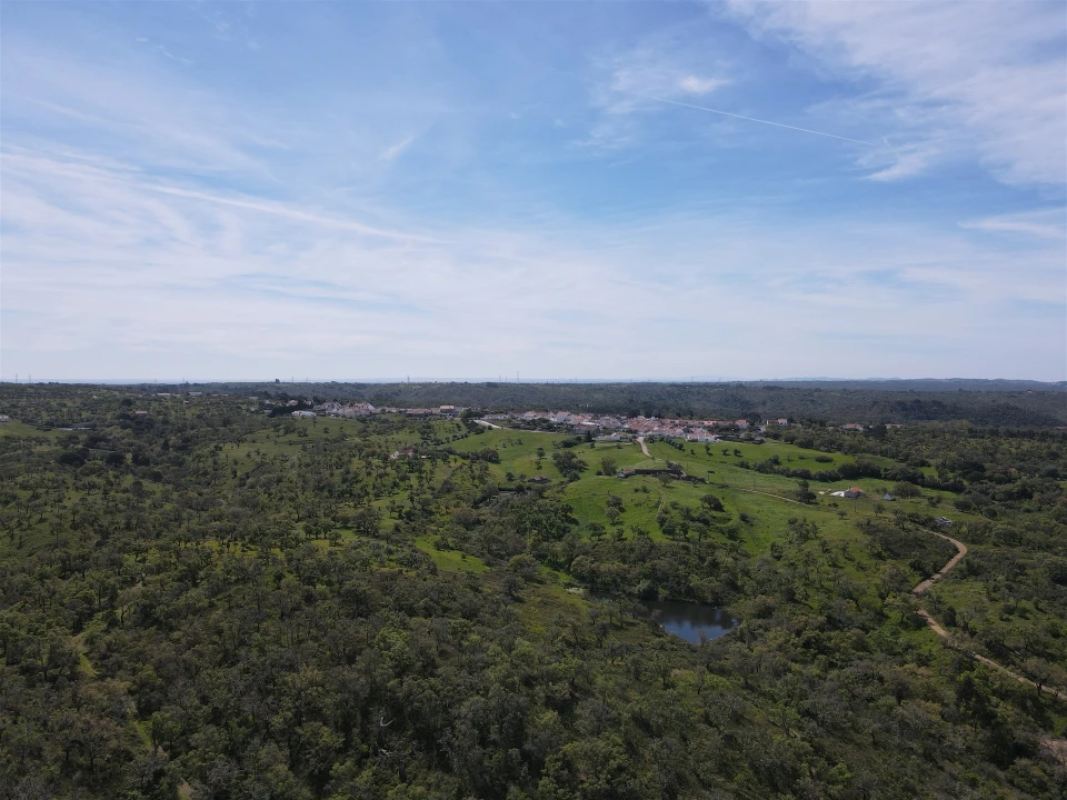Terreno Agricola ou Rústico para Venda em São Francisco da Serra Foto 12
