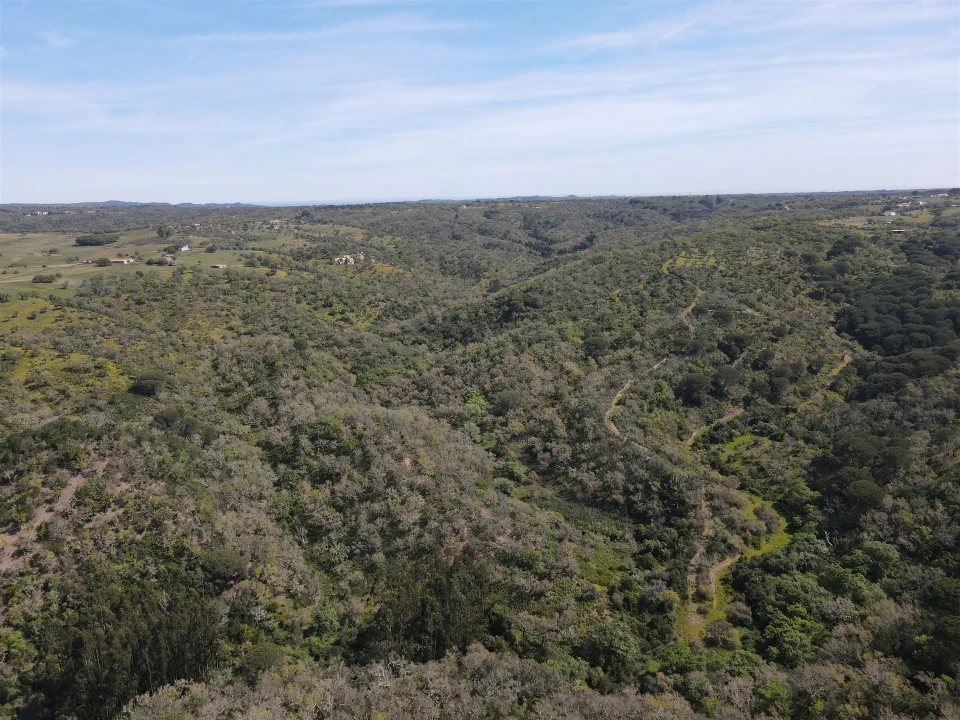 Terreno Agricola ou Rústico para Venda em São Francisco da Serra Foto 16
