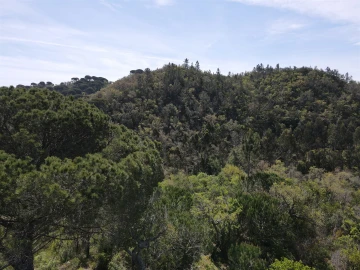 Terreno Agricola ou Rústico para Venda em São Francisco da Serra
