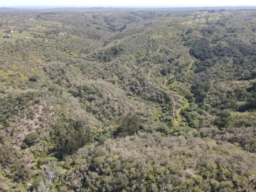 Terreno Agricola ou Rústico para Venda em São Francisco da Serra