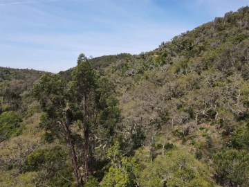 Terreno Agricola ou Rústico para Venda em São Francisco da Serra