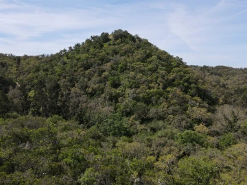 Terreno Agricola ou Rústico para Venda em São Francisco da Serra